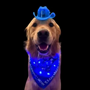 Cowboy Dog Bundle