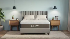 Fusion Luxe