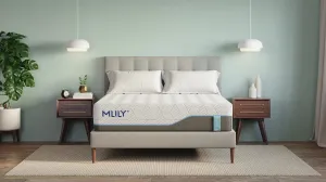 Harmony Chill 3.0