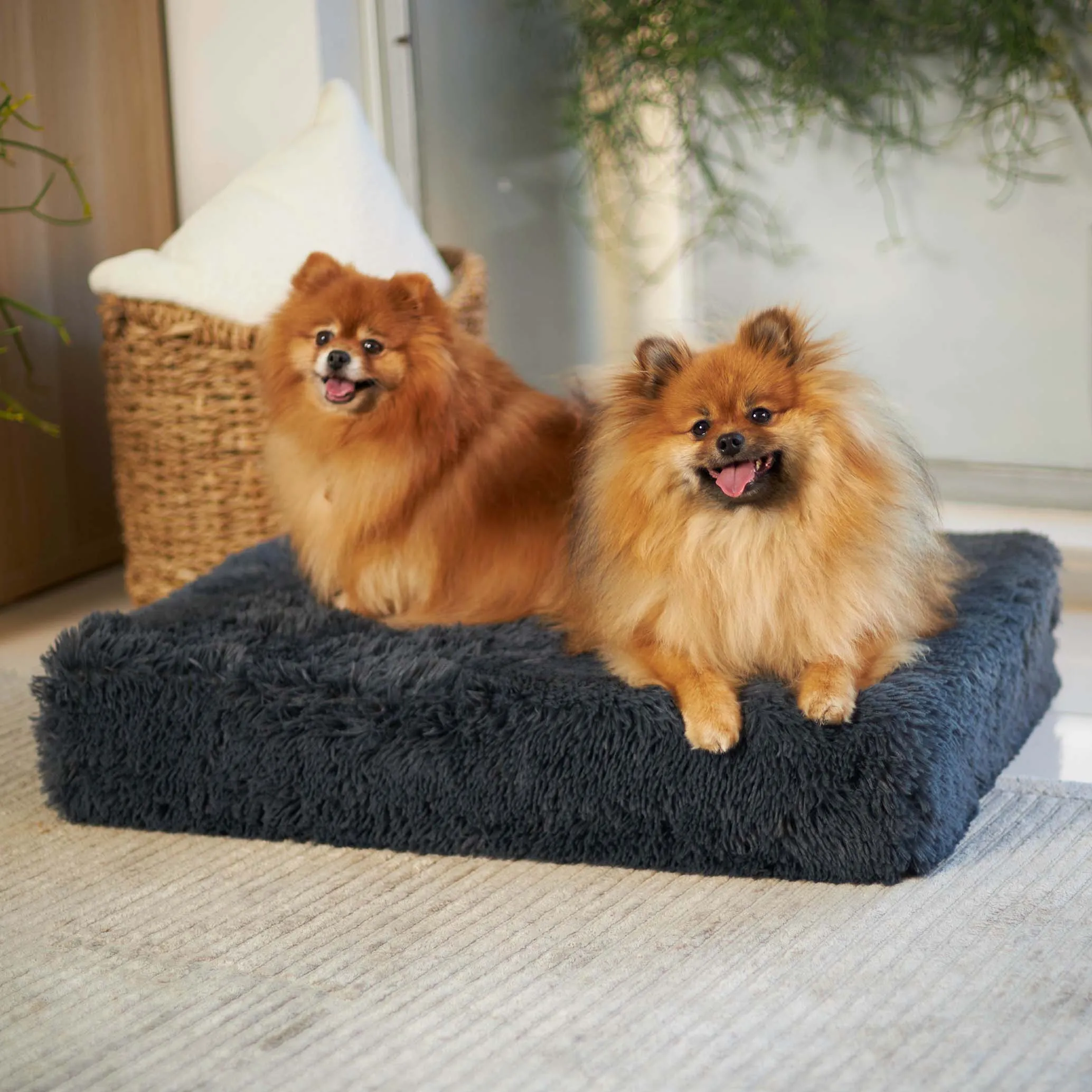 Kazoo Slumber Large Plush Grey Dog Bed***