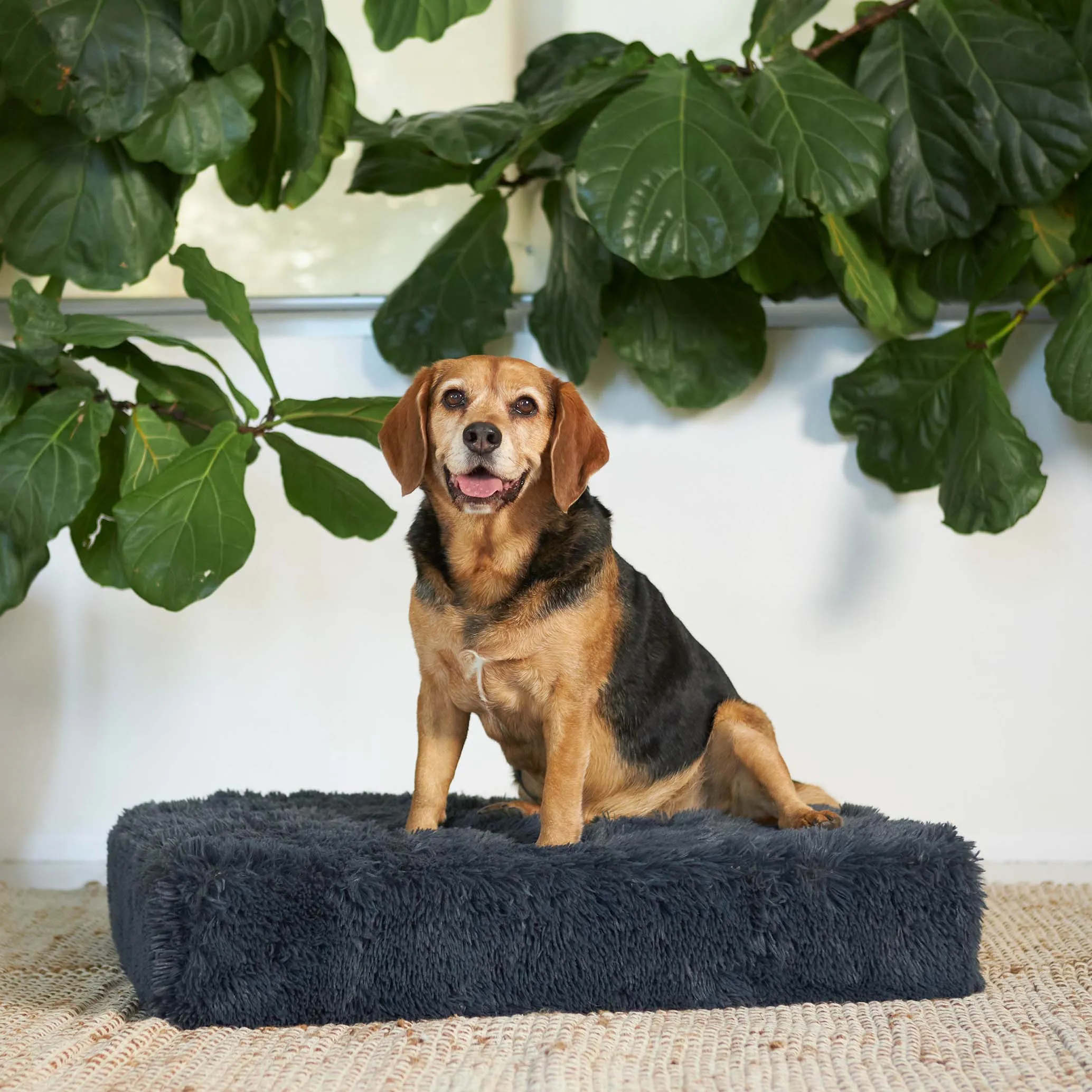 Kazoo Slumber Large Plush Grey Dog Bed***