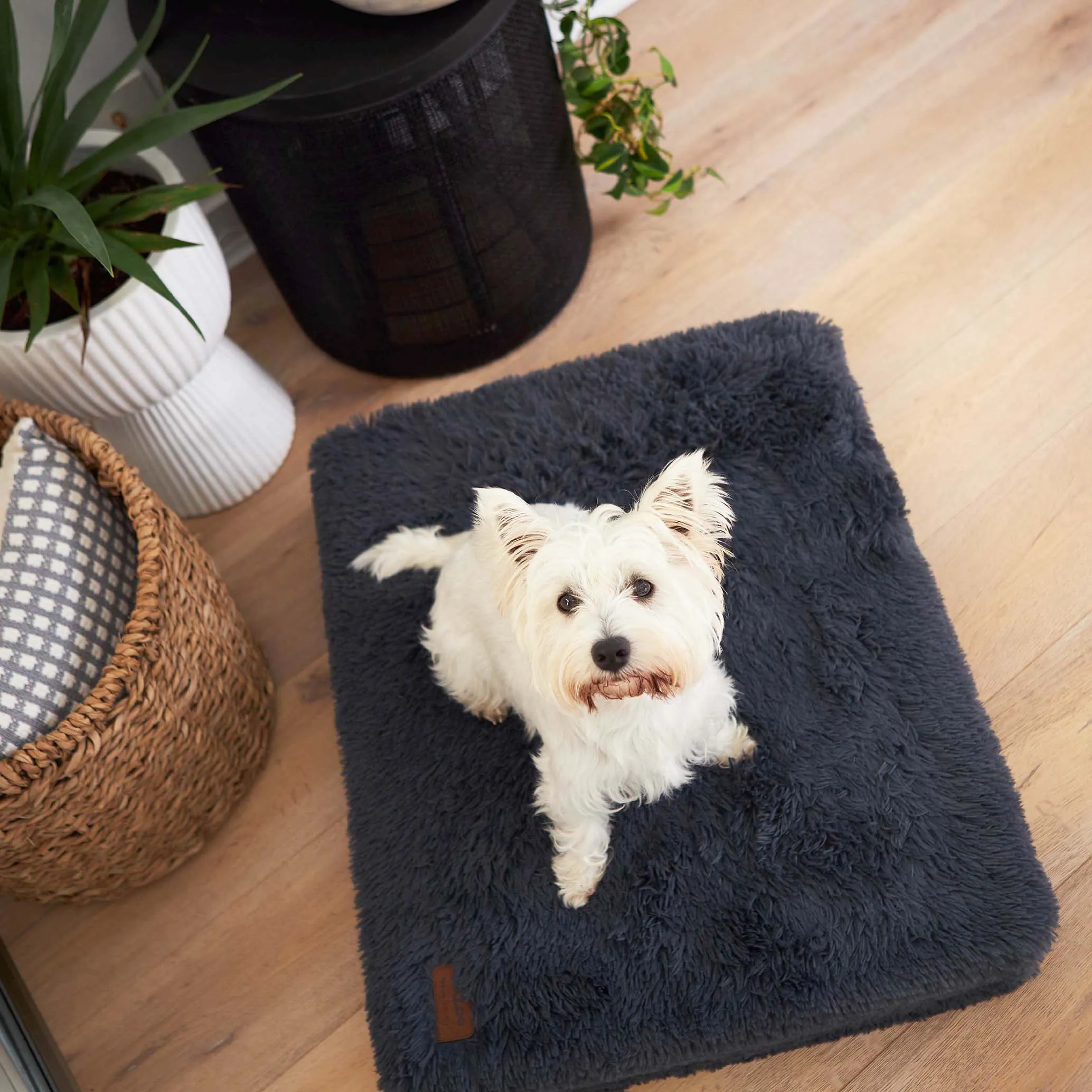 Kazoo Slumber Large Plush Grey Dog Bed***