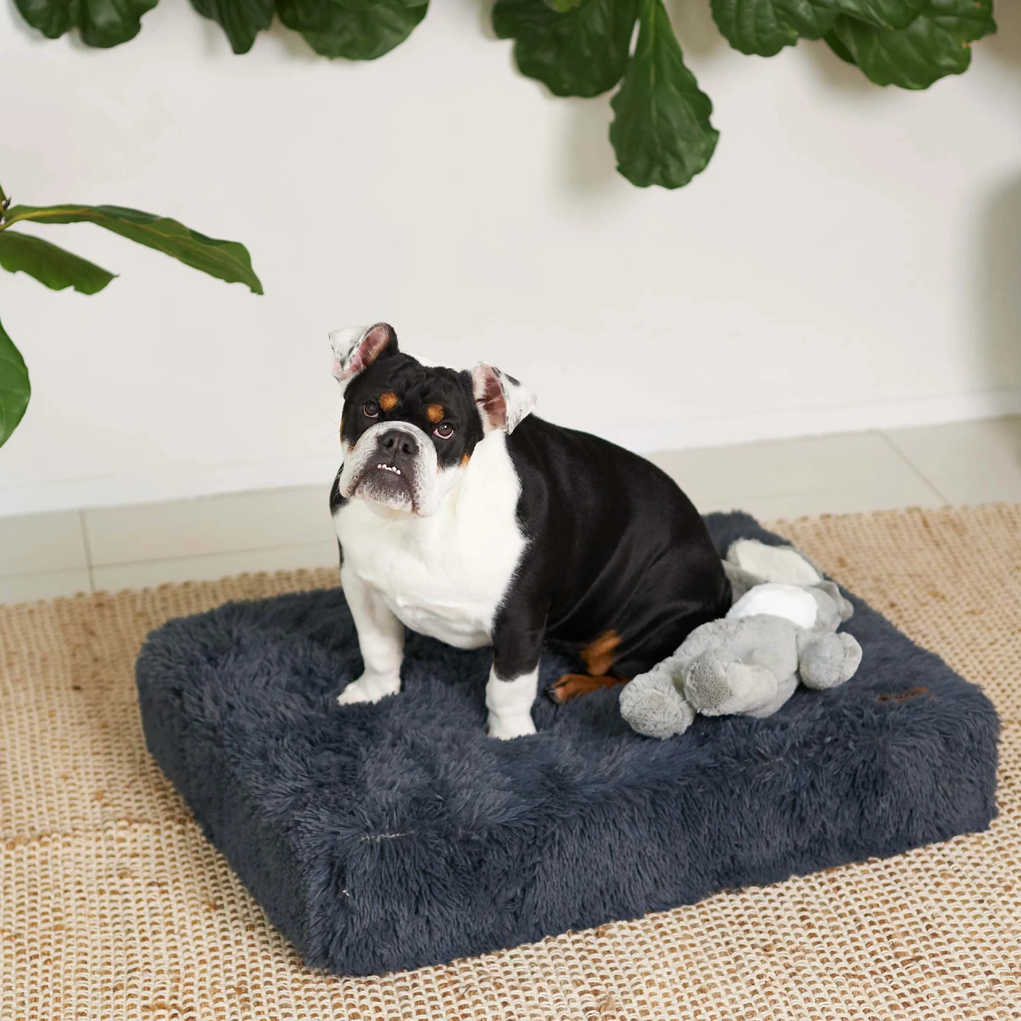 Kazoo Slumber Large Plush Grey Dog Bed***