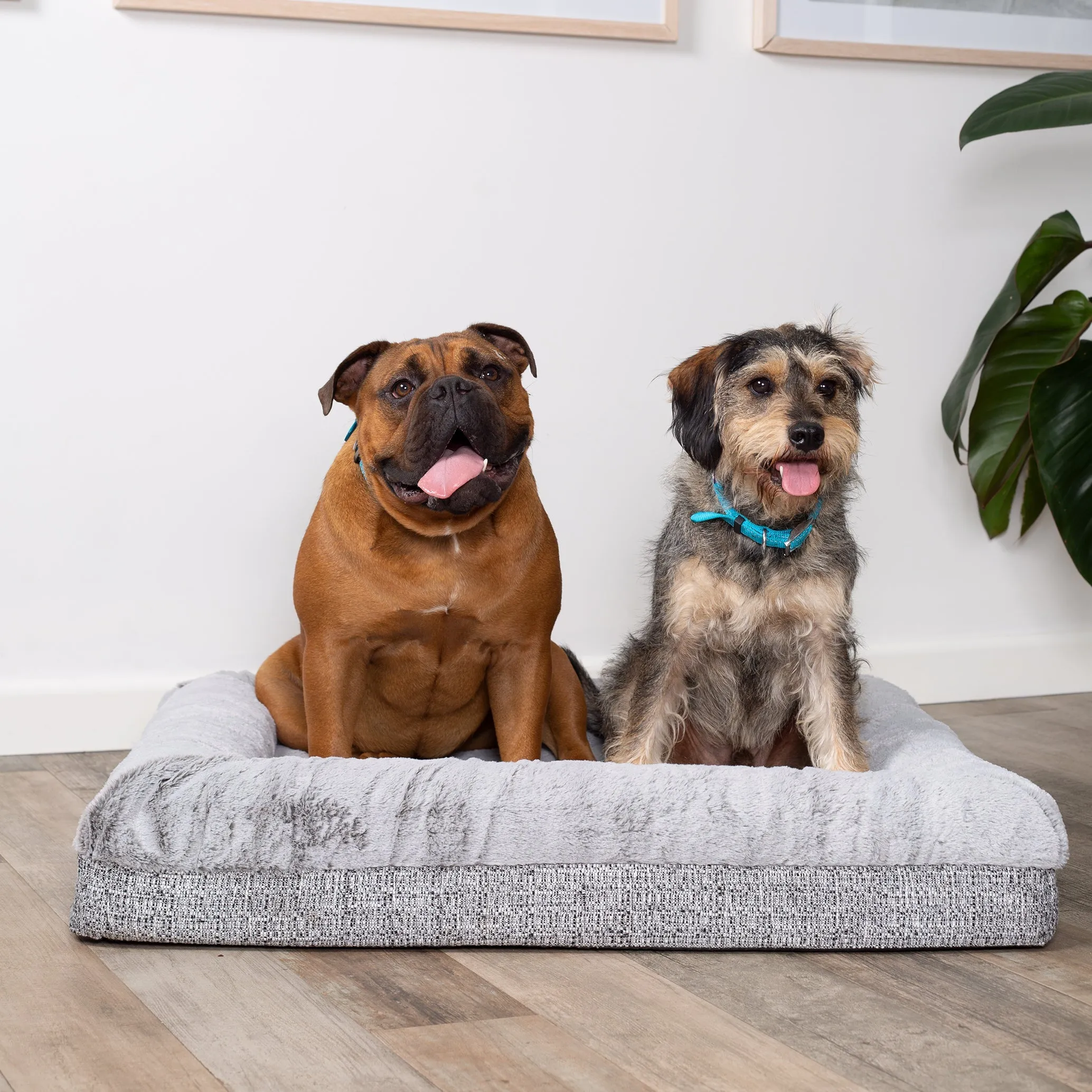 Kazoo Wombat Large Plush Grey Dog Bed