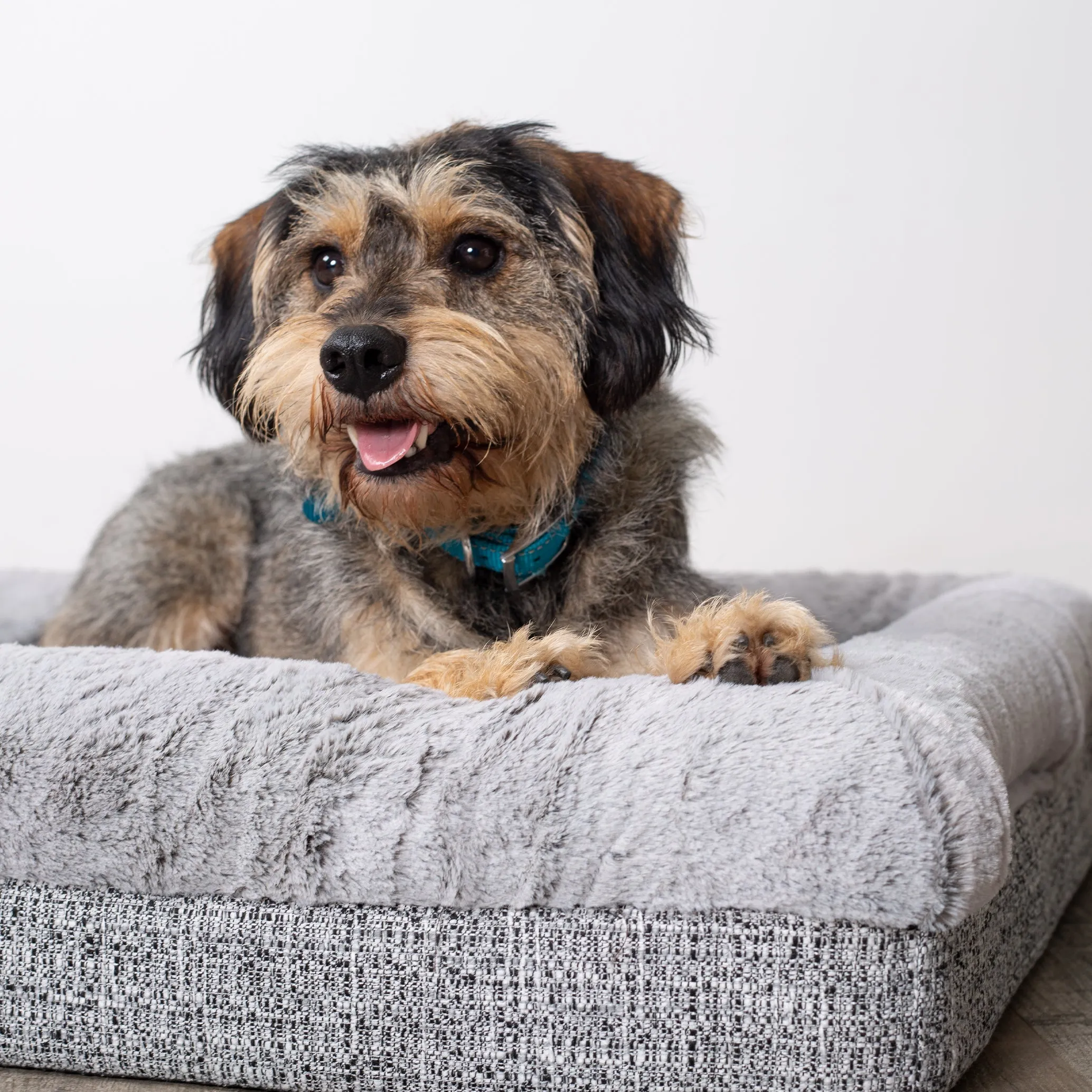 Kazoo Wombat Large Plush Grey Dog Bed